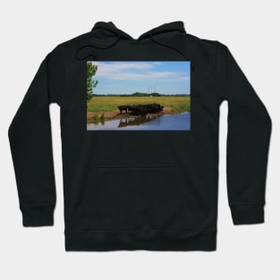 Angus Cow's at the Watering Hole Hoodie